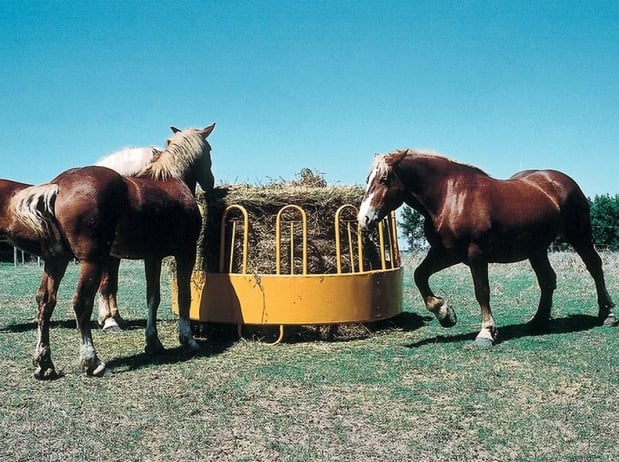 Images Allied Cooperative