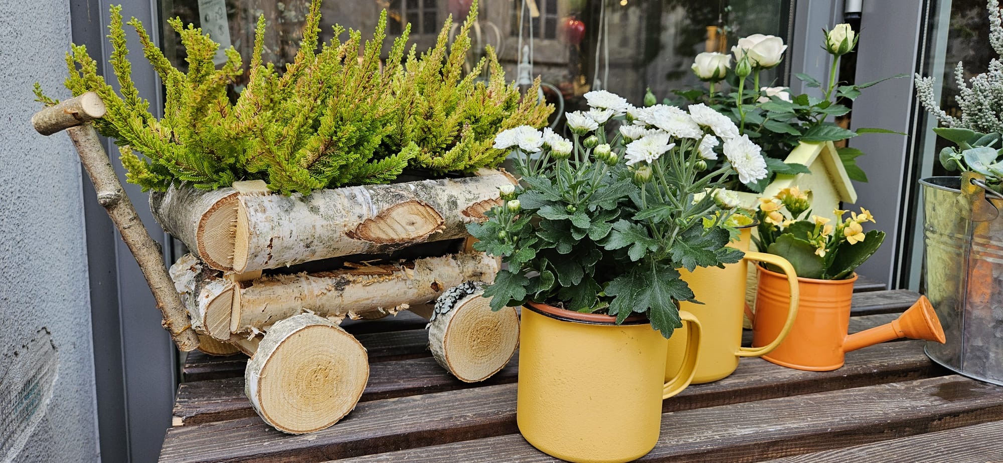 Bilder Blumengeschäft Blattmaus