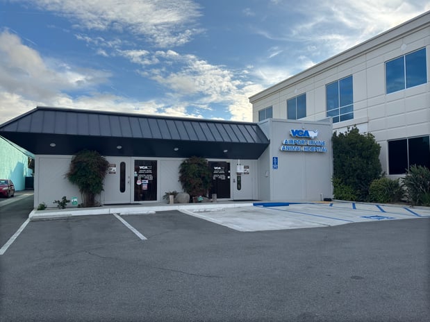Images VCA Airport Irvine Animal Hospital