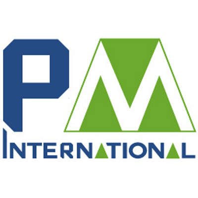 Pm International Consulting Logo