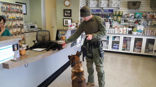 Images Village Veterinary Clinic