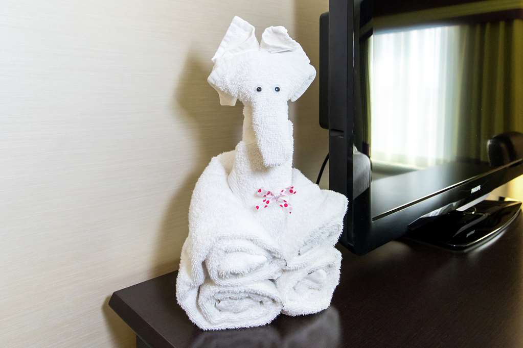 Guest room amenity