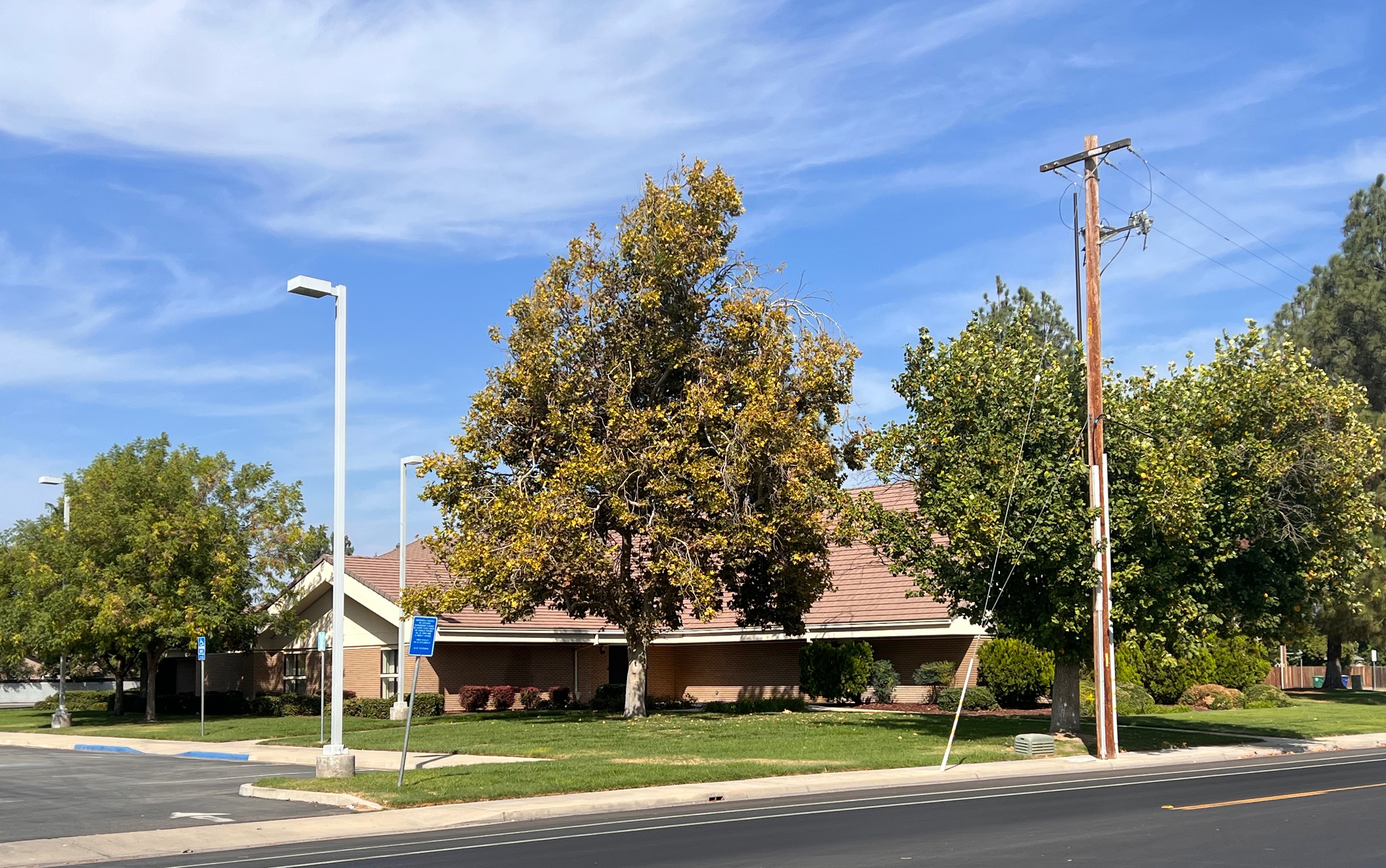 The Church of Jesus Christ of Latter-day Saints Image