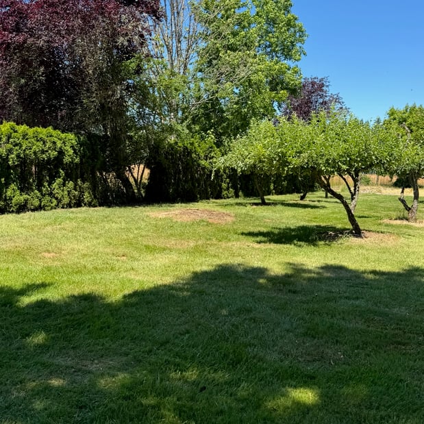 Images Alexa's Tree Service