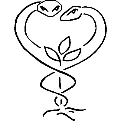 Logo Dr. med. Marion J. Bornhaupt