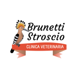 Clinica Veterinaria Brunetti - Stroscio Logo