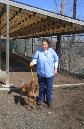 Images VCA Iselin Animal Hospital