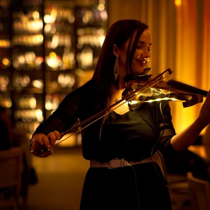 Images Blu on the Hudson