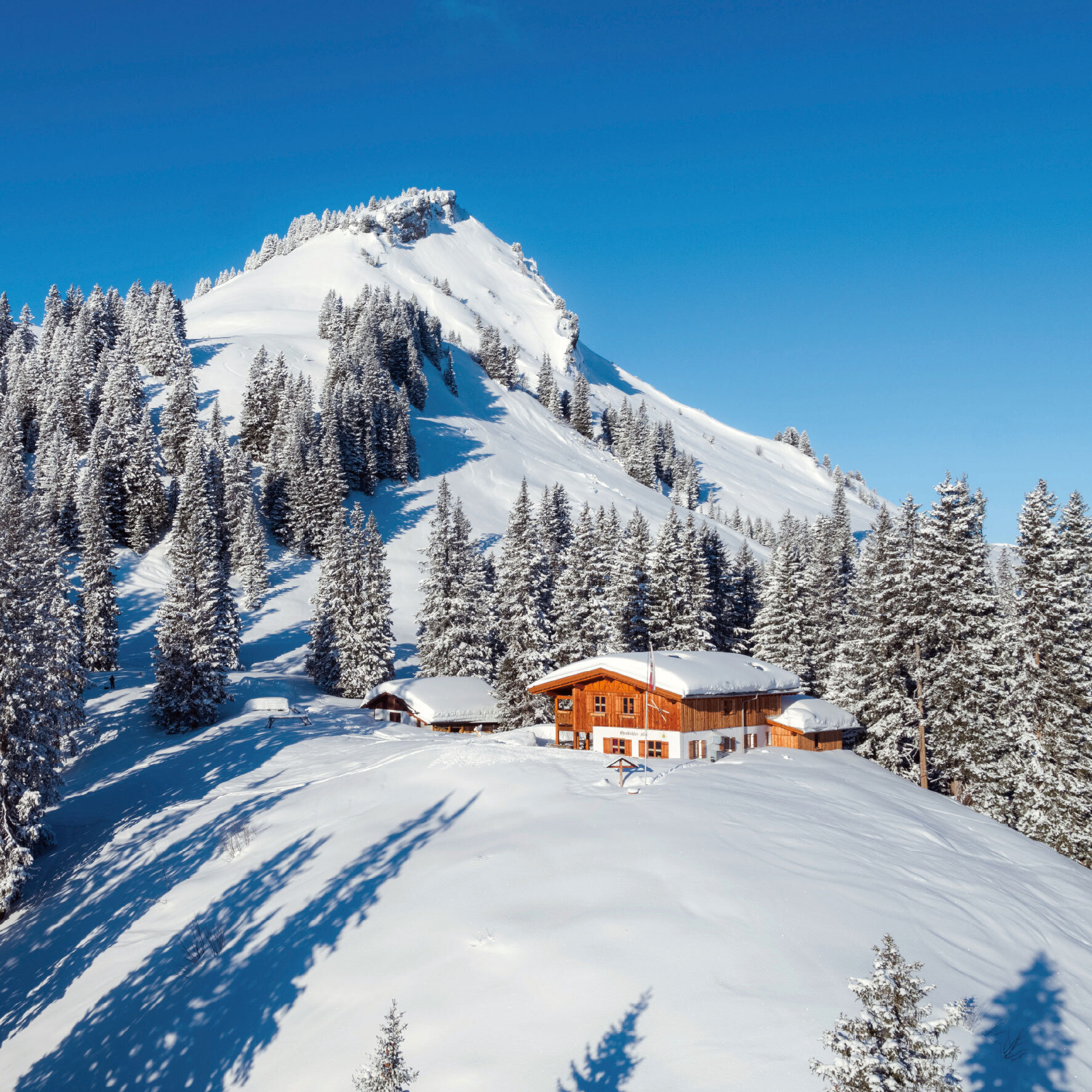 Bild 21 von Ferienhaus Lechappart