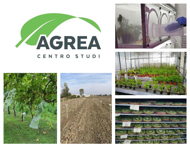 Images Agrea Centro Studi