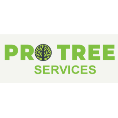 Pro Tree Services 1