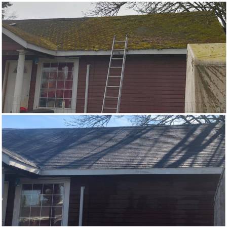 Image 3 | Affordable Roof Cleaning LLC