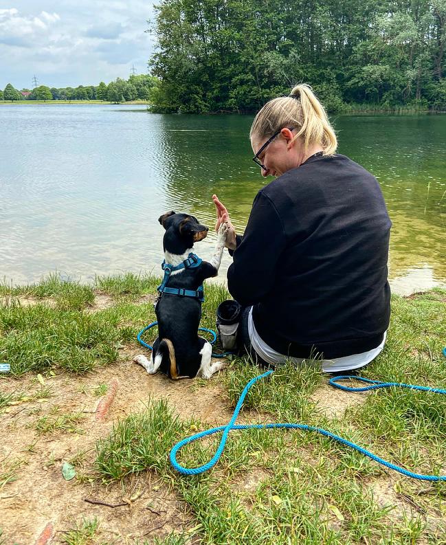 Hand & Pfote - Jessis Hundecoaching in Dortmund - Logo