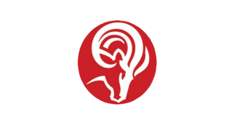 Images Ram Jack Foundation Solutions