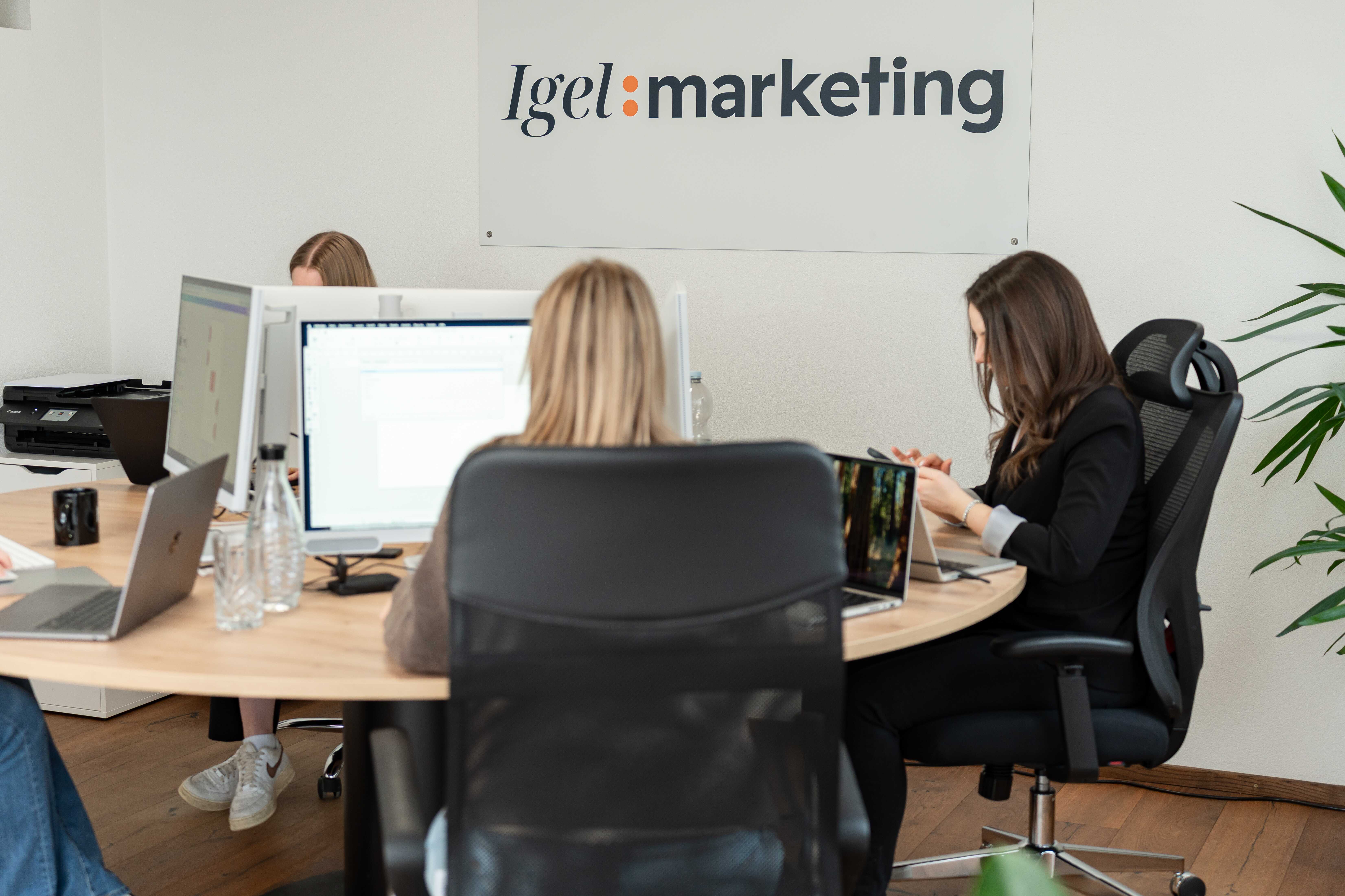 Igel:marketing, Langenweg 10 in Ebersbach-Musbach