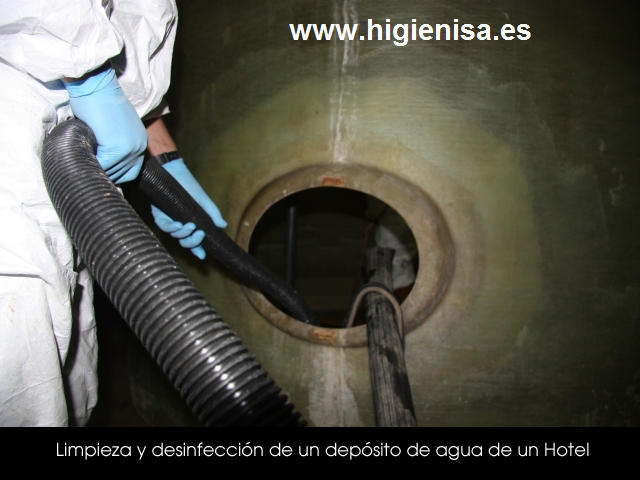 Images Higienisa Control De Plagas - Valencia