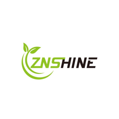 ZNShine Italia Logo