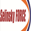 Selinsky FORCE LLC