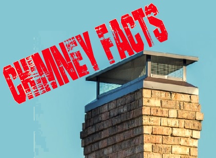 Just the Facts Chimney Cap