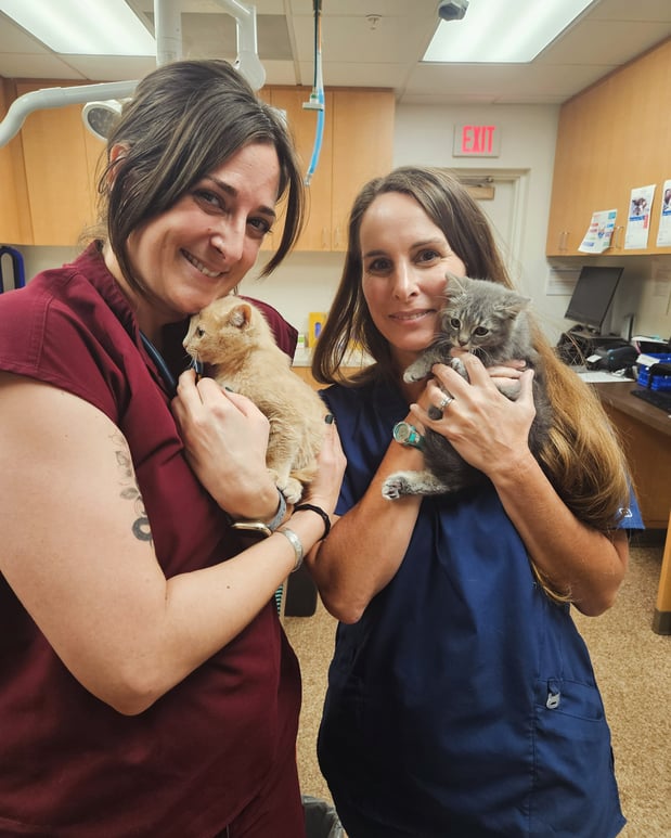 Images VCA Laguna Niguel Animal Hospital