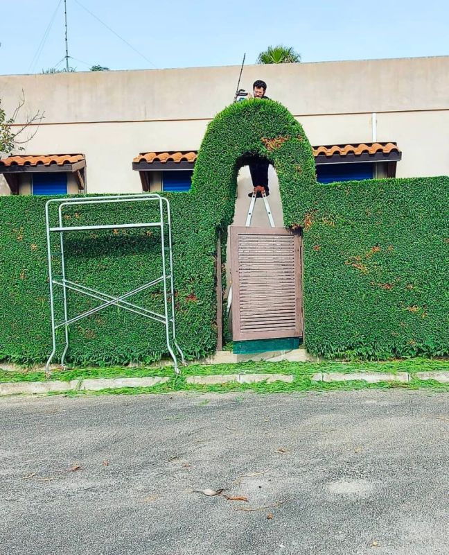 Images Linea Verde di Marrocco Pantaleo