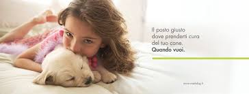 Bilder WashDog Bellinzona