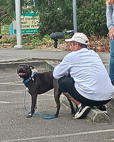 Storm Lake Paving Image