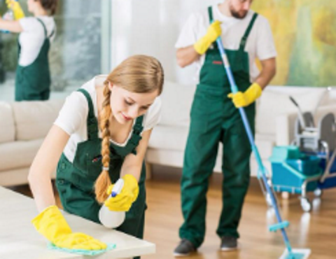 Pro Cleaning-Domestic and Commercial Cleaning 13