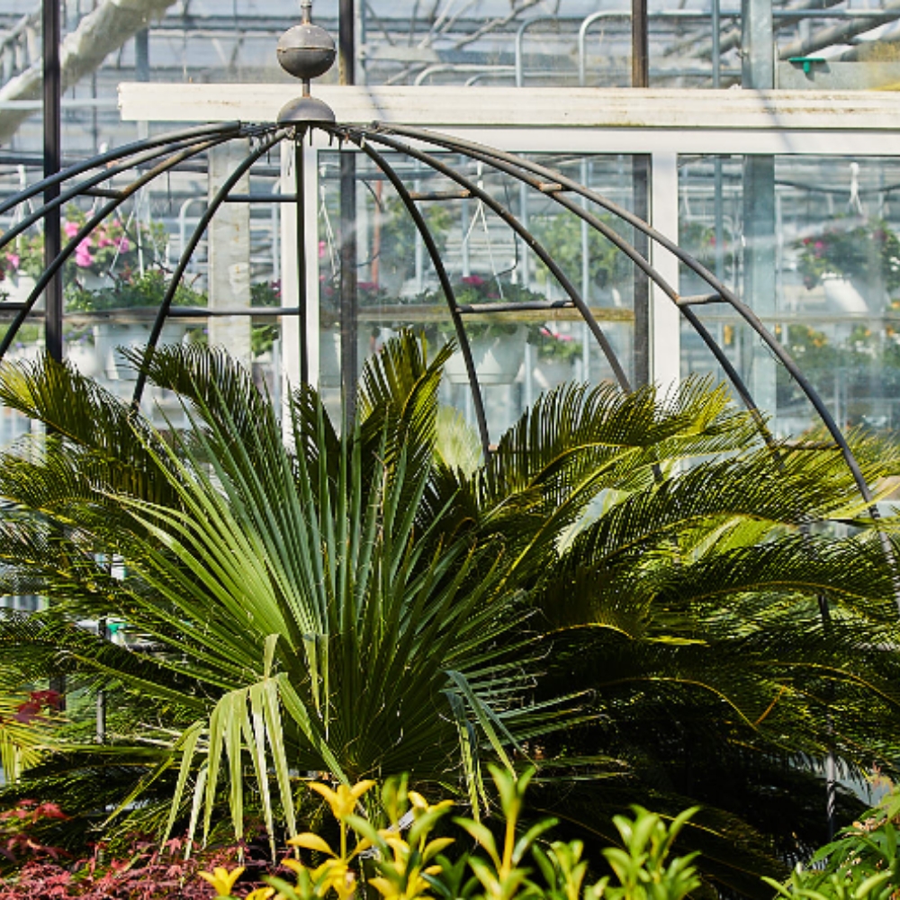 Paulwitz Pflanzenhof & Floristik, Norderdorfkamp 26 in Neumünster