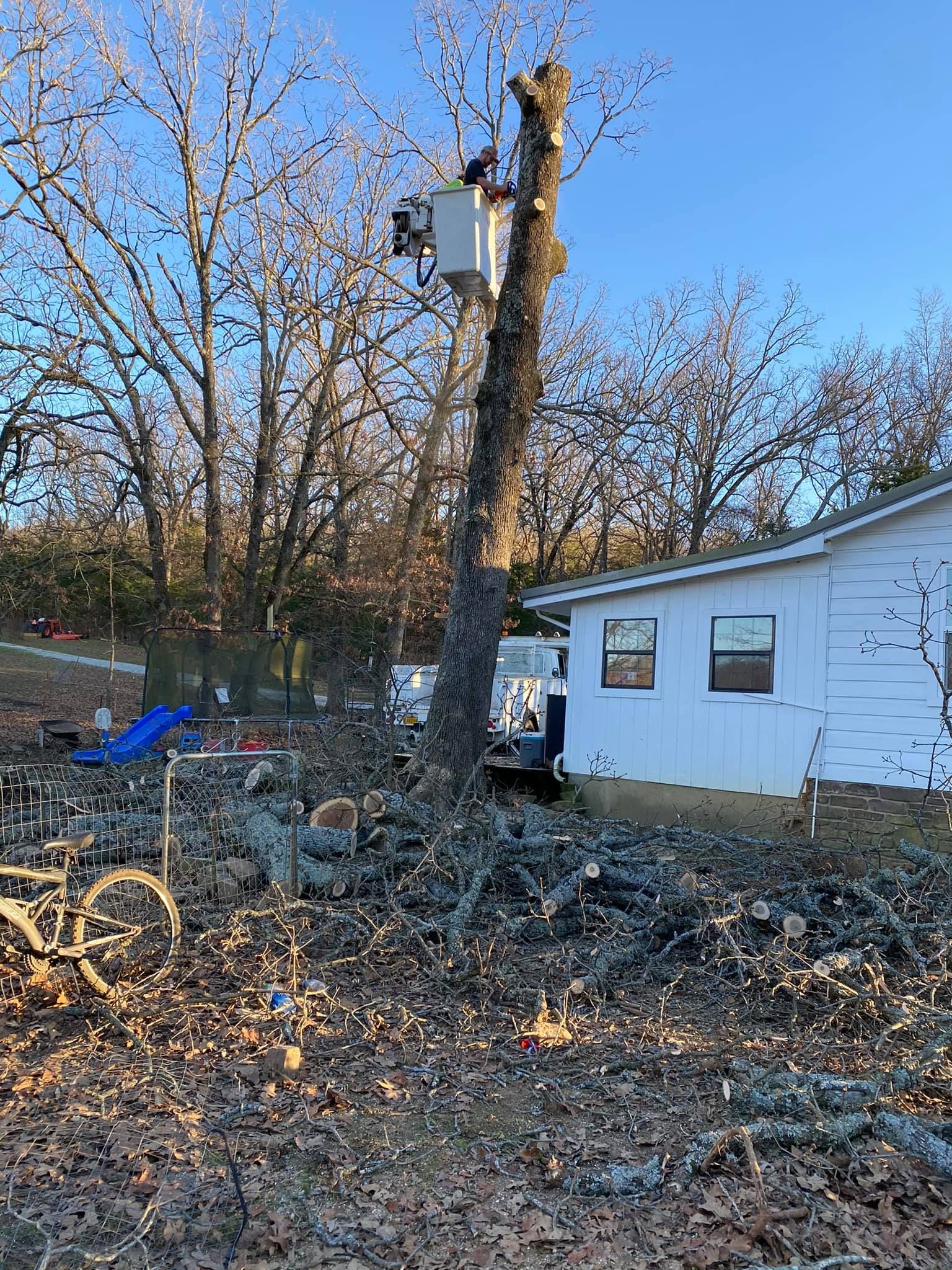 Down Rite Tree Service Image