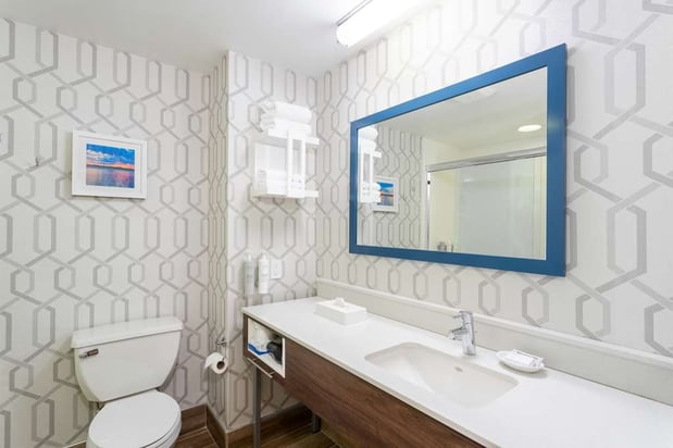 Images Hampton Inn Buffalo South/I-90