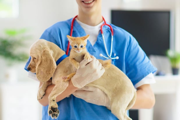 Images Audubon Animal Medical Center
