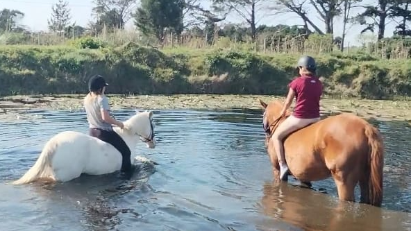 Images Solo Riding School