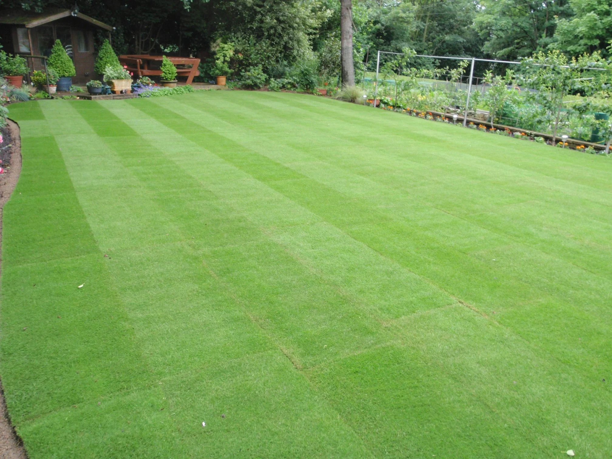 Images D & E Landscapes