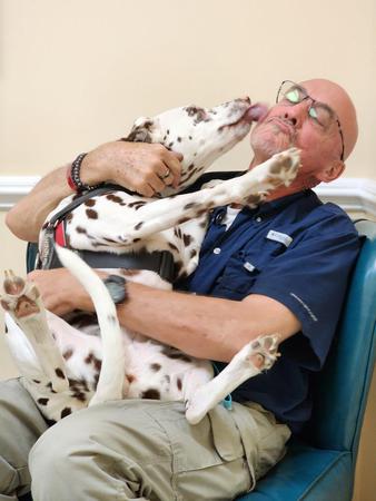 Images VCA SouthPaws Veterinary Specialists & Emergency Center