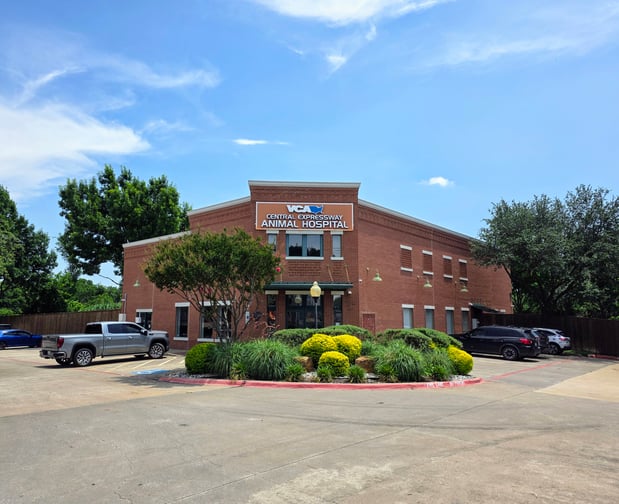 Images VCA Central Expressway Animal Hospital