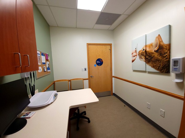 Images VCA Lantern Road Animal Hospital