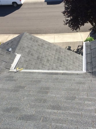 Images Rite Size Pest Control and Moss Removal