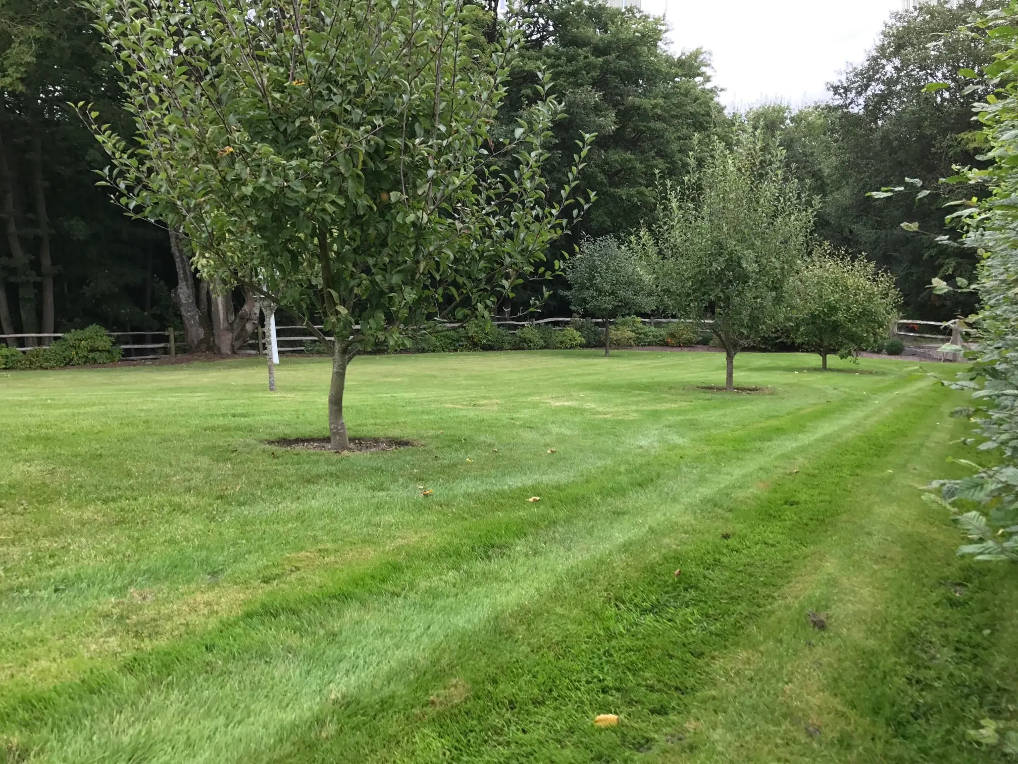 Images Prostyle Gardening & Home Services