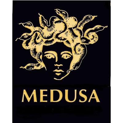 Logo Friseur Medusa Pforzheim
