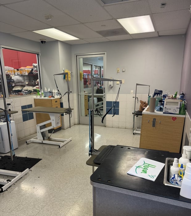 Images Petco Grooming