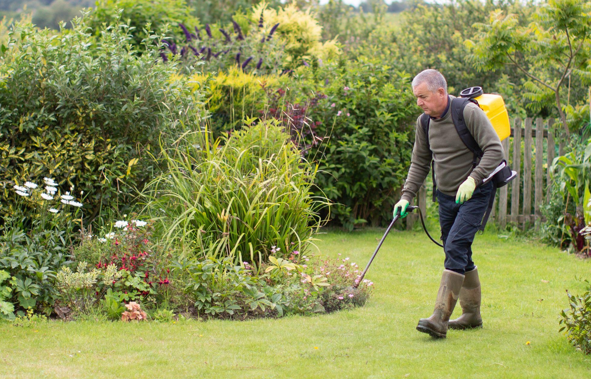 Bilder Helping Green - Gartenpflege & Landschaftsbau