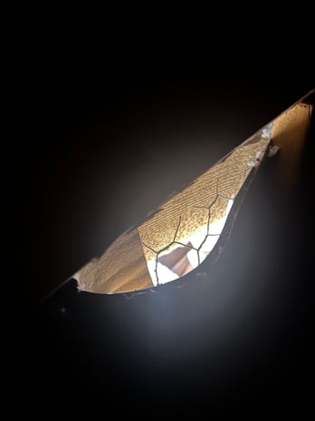 Images Attic Professional