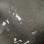 Buchem Chemie + Technik GmbH & Co. KG, Von-der-Wettern-Strasse 23 in Köln