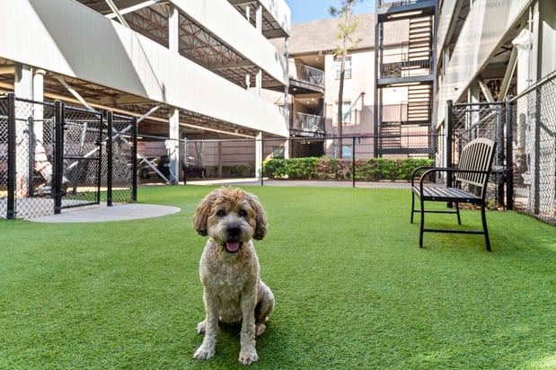 Images Camden Greenway Apartments