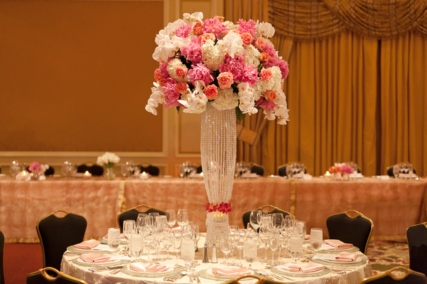 Images Jane's Roses & Flowers