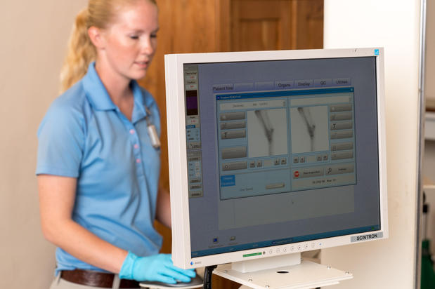 Images Palm Beach Equine Clinic