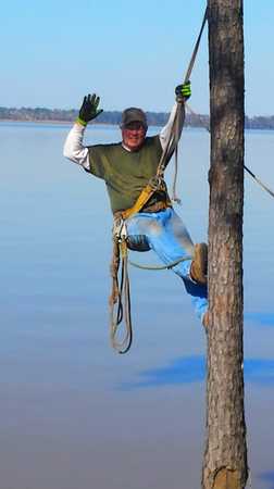 Images TNT Tree Service