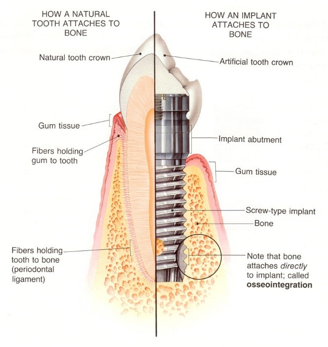 Northpointe Family Dentistry Photo