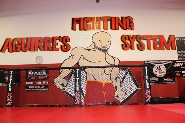 Images Aguirre's Fighting System